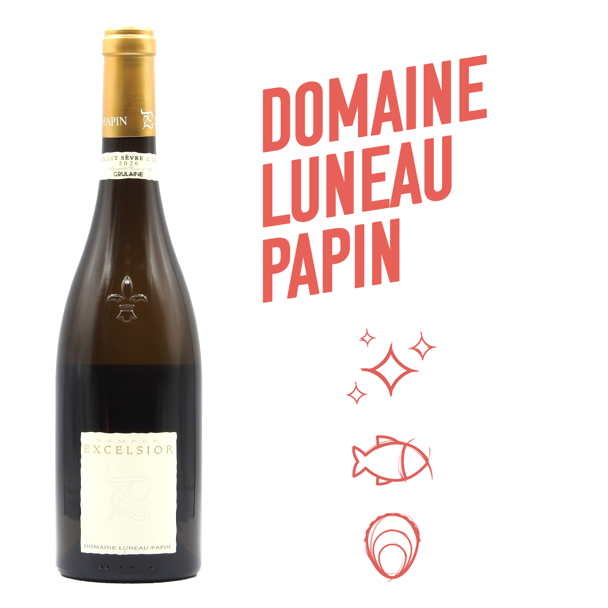 Excelsior Blanc 2020