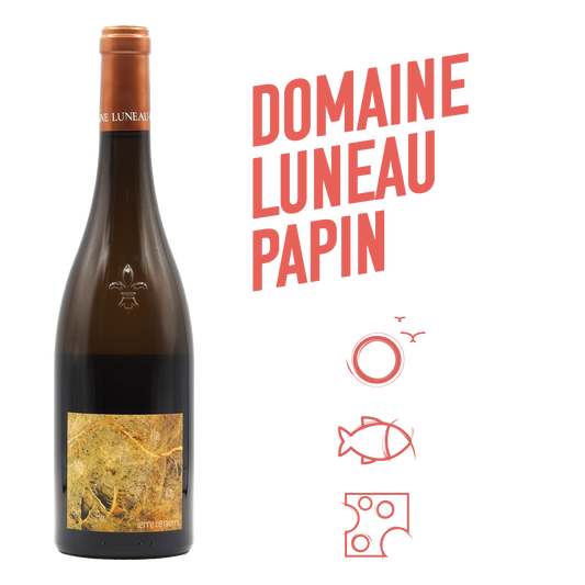 Terre De Pierre Blanc 2021