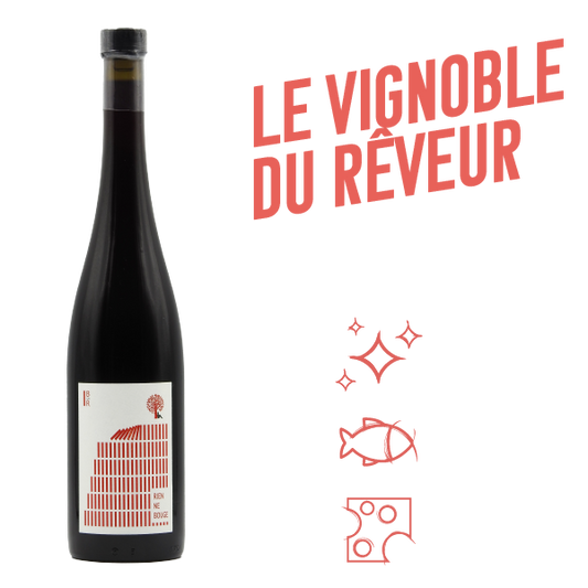 Pinot d'Alsace Pierres Sauvages Blanc 2021