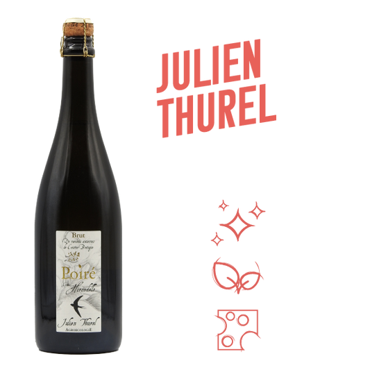 Domaine Julien Thurel Poiré Hirondelle 2022